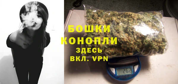 mdpv Богородицк