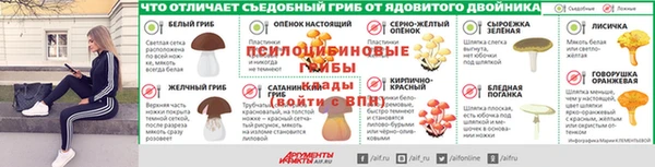 трава Богданович