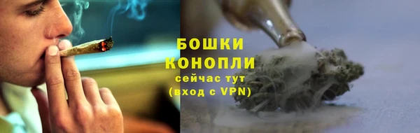 mdpv Богородицк