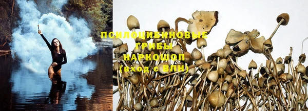 mdpv Богородицк