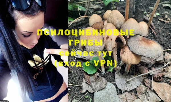 трава Богданович